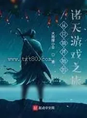 《只狼:影逝二度》小说封面