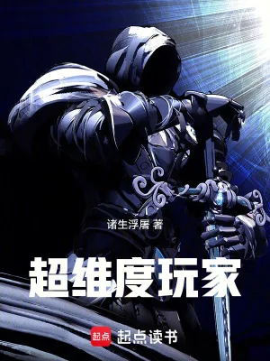 《超维度玩家》小说封面