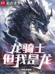 《龙骑士，但我是龙》小说封面