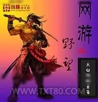 《野望》小说封面