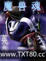 《魔兽魂》小说封面