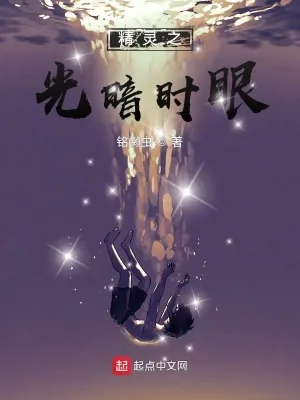 《精灵之光暗时眼》小说封面