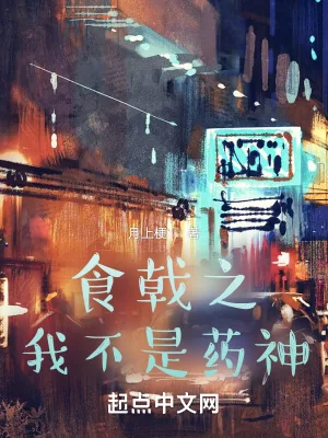 《食戟之我不是药神》小说封面