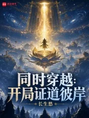 《同时穿越:开局证道彼岸》小说封面