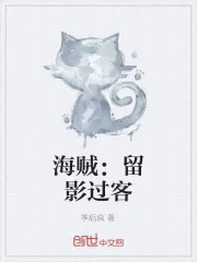 《海贼：留影过客》小说封面