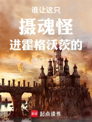 《谁让这只摄魂怪进霍格沃茨的！》小说封面