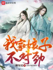 《洛青舟秦蒹葭》小说封面