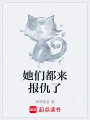 《她们都来报仇了》小说封面