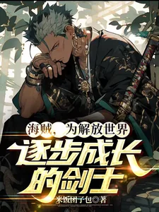 《海贼,为解放世界逐步成长的剑士》小说封面