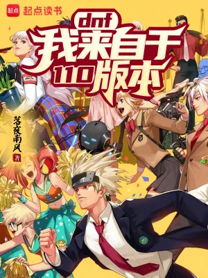 《DNF:我来自于110版本!》小说封面