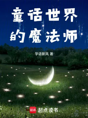 《童话世界的魔法师》小说封面