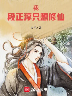 《我段正淳只想修仙》小说封面
