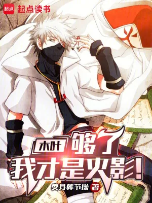 《木叶：够了，我才是火影！》小说封面