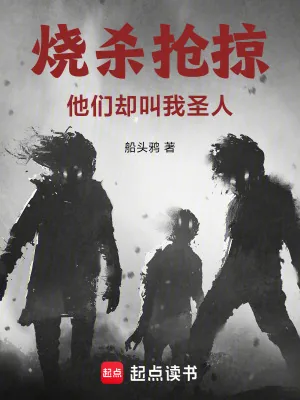 《烧杀抢掠,他们却叫我圣人》小说封面