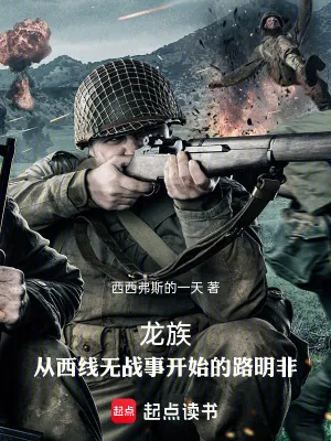 《龙族:从西线无战事开始的路明非》小说封面