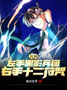 《名柯：左手黑影兵团右手十二符咒》小说封面