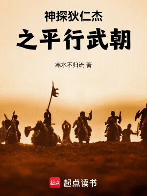 《神探狄仁杰之平行武朝》小说封面
