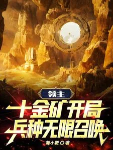《领主：十金矿开局，兵种无限召唤》小说封面