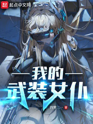 《我的武装女仆》小说封面
