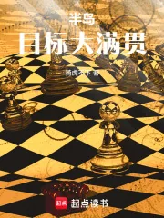 《半岛:目标大满贯》小说封面