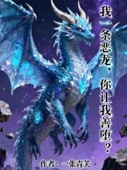 《我一条恶龙,你让我善堕?》小说封面