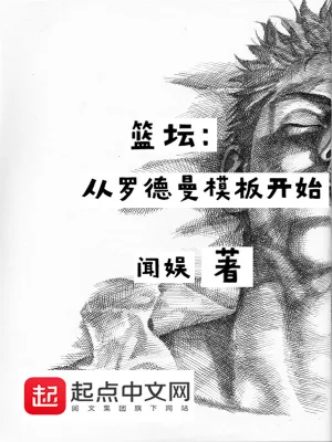 《篮坛：从罗德曼模板开始》小说封面