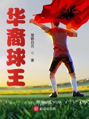 《华裔球王》小说封面
