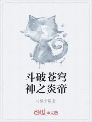 《斗破苍穹神之炎帝》小说封面