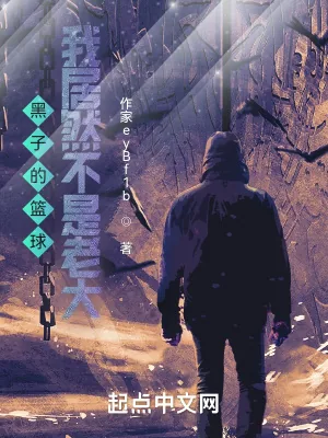 《黑子的篮球：我居然不是老大？》小说封面