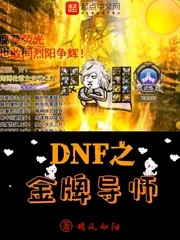 《DNF之金牌导师》小说封面