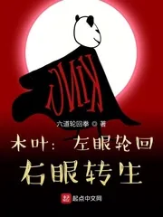 《木叶:左眼轮回,右眼转生》小说封面