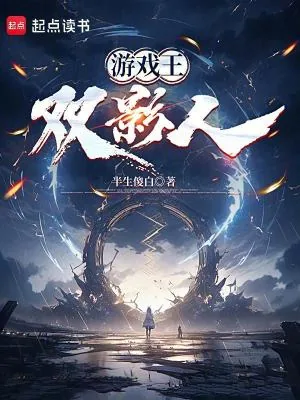 《游戏王:双影人》小说封面